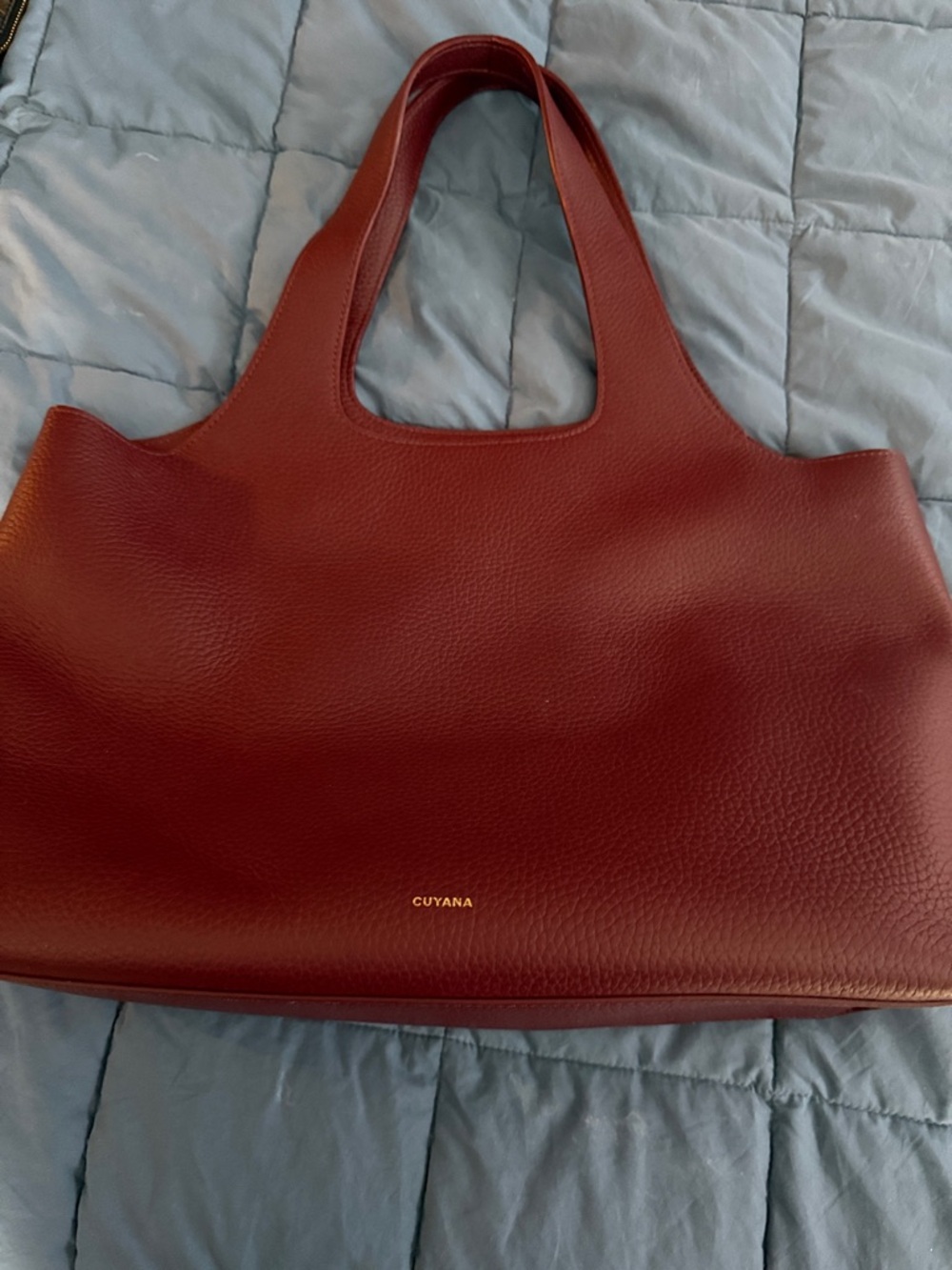 Cuyana system tote (fits 16” laptop) in Cherry